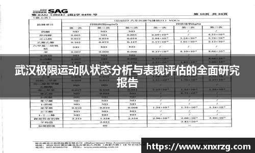 武汉极限运动队状态分析与表现评估的全面研究报告